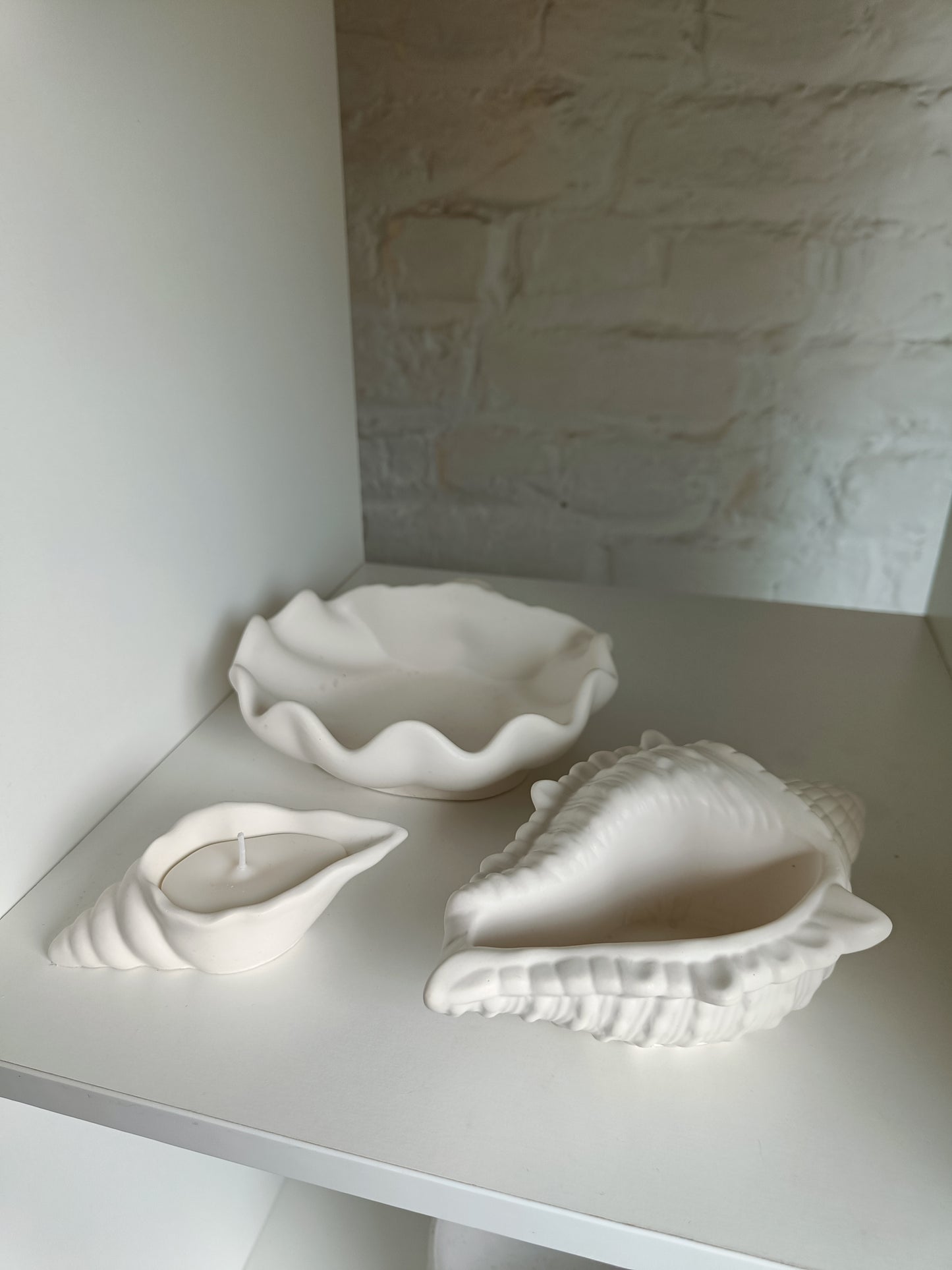 Conch Shell Décor Piece