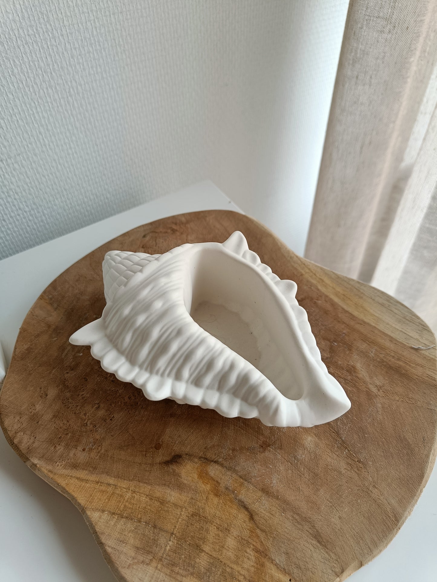 Conch Shell Décor Piece