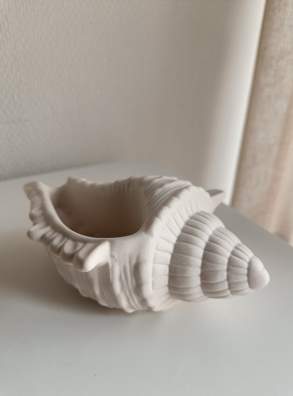 Large Shell Décor Piece