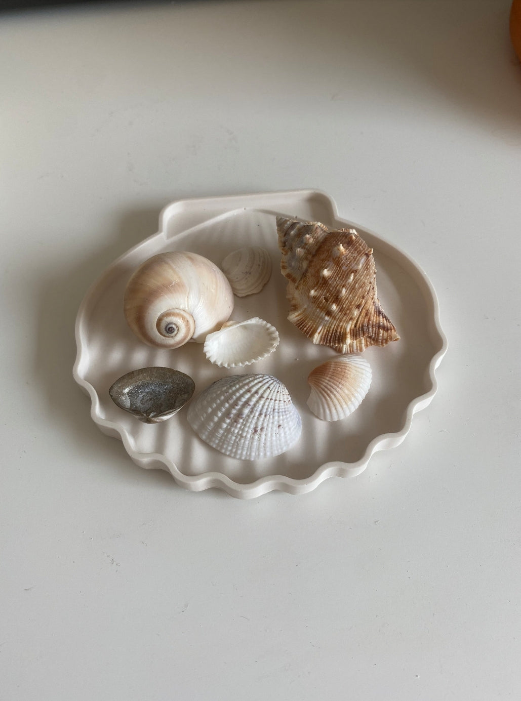 Shell Trinket Tray