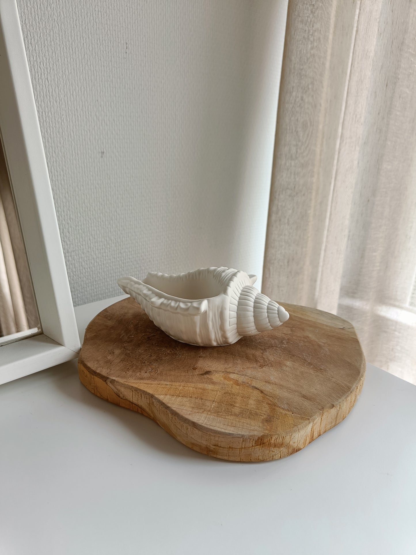 Large Shell Décor Piece